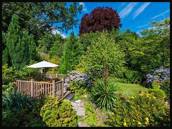 Bodlondeb Garden 17-08-15