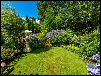 Bodlondeb Garden 5